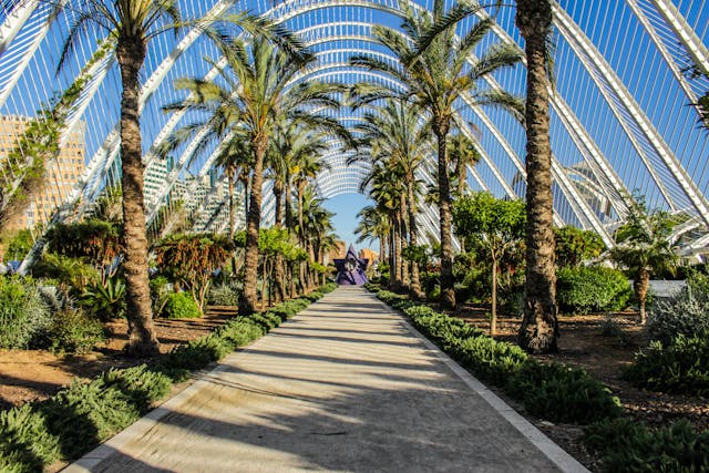 Valencia als ideale vakantiebestemming voor gezinnen